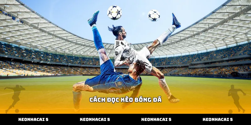 Hướng dẫn cách đọc kèo bóng đá châu Á chi tiết nhất