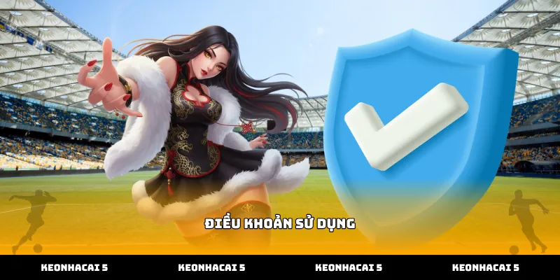 Thông tin Điều khoản sử dụng dữ liệu bóng đá trực tuyến